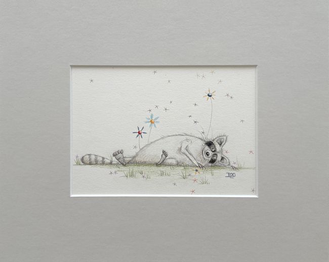 Glücklicher Waschbär